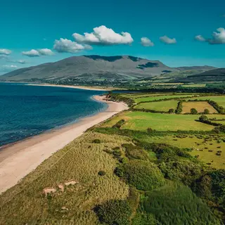 Castlegregory beach and the green fields behind it, from the air