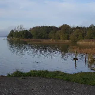 The reedy shore of Lough Ennell with the far bank in the distance