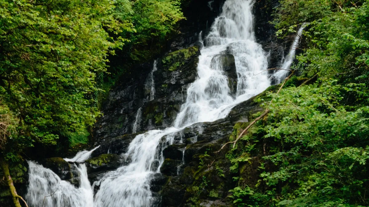 Torc Waterfall falling through the woods in Killarney National Park