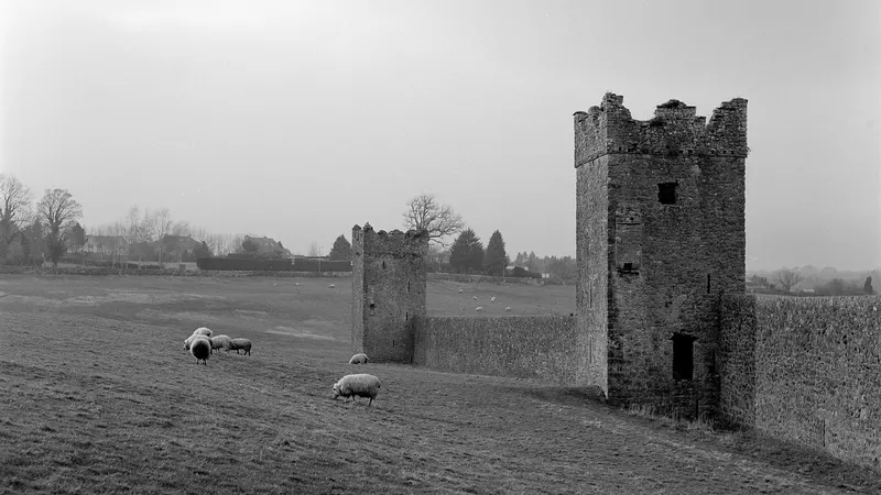 County Kilkenny - Kells Priory