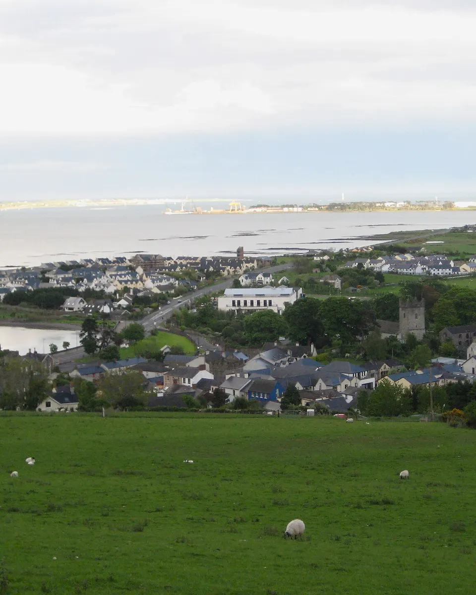 Green fields sloping down to Carlingford town on the lough