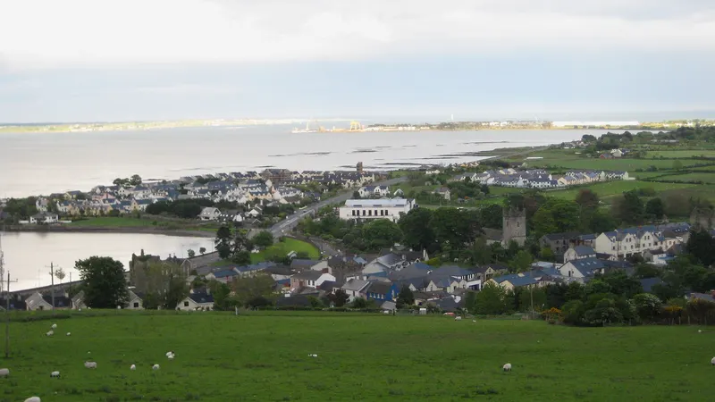 Green fields sloping down to Carlingford town on the lough