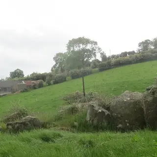 Stones of the wedge tomb at Lisnadarragh sitting in a sloping green field