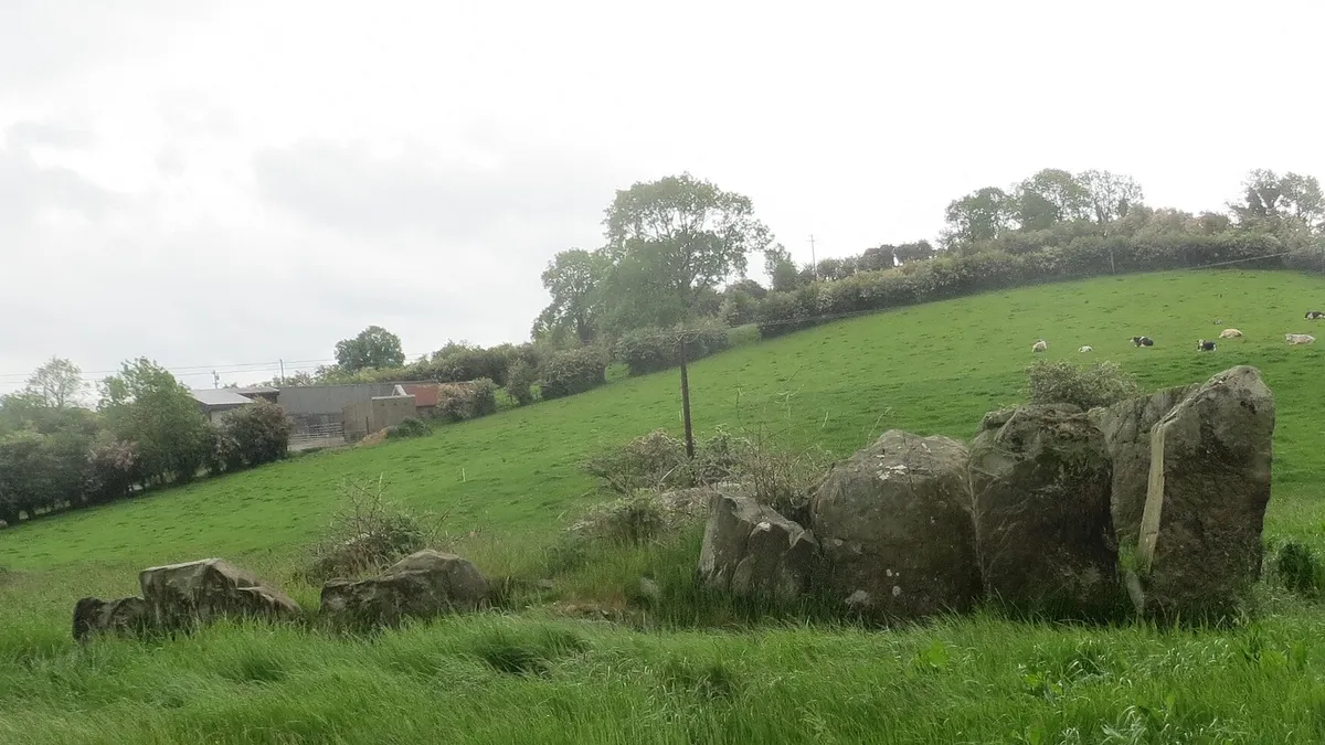 Stones of the wedge tomb at Lisnadarragh sitting in a sloping green field