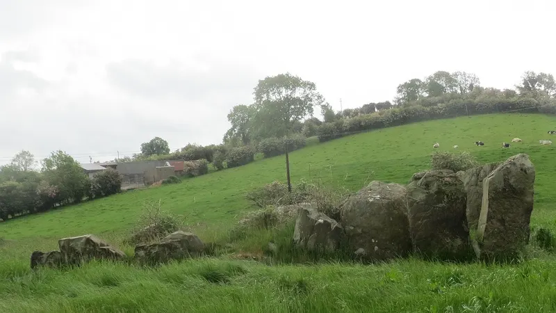 Stones of the wedge tomb at Lisnadarragh sitting in a sloping green field