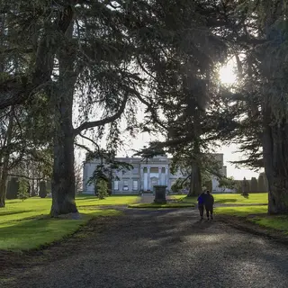 Emo - Emo Court