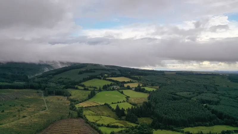 Patchwork fields and forestry running up into the Slieve Bloom Mountains under cloud