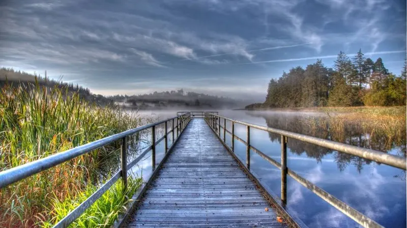 A timber boardwalk running out across Castle Lake through the reeds in morning mist