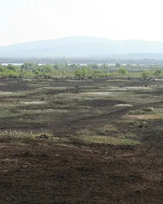 Cut bog running away to Croghan Hill in the distance