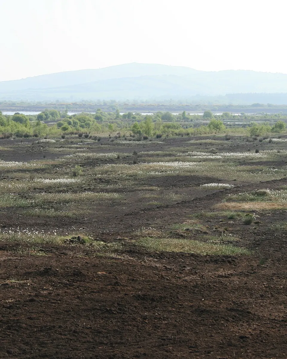 Cut bog running away to Croghan Hill in the distance