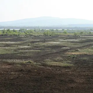 Cut bog running away to Croghan Hill in the distance