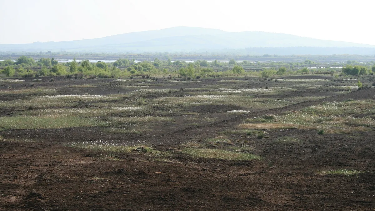 Cut bog running away to Croghan Hill in the distance