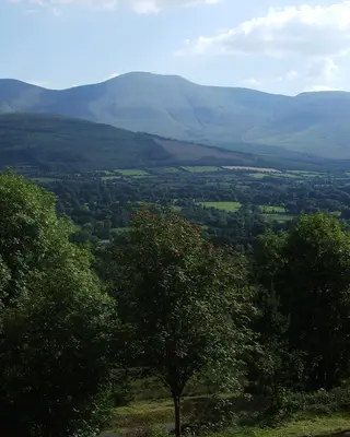 The long ridge of the Galtee Mountains above the trees and farmland