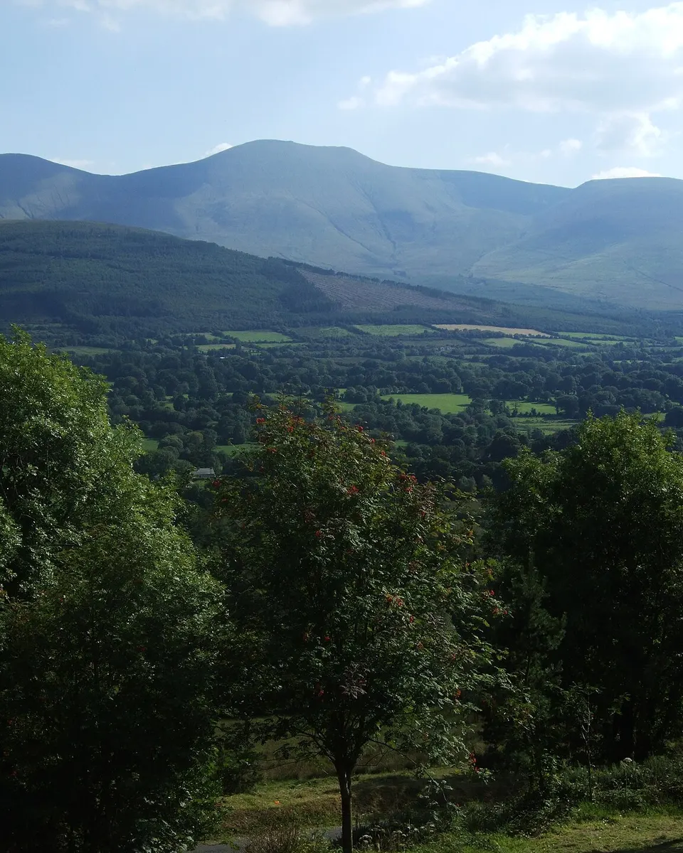 The long ridge of the Galtee Mountains above the trees and farmland