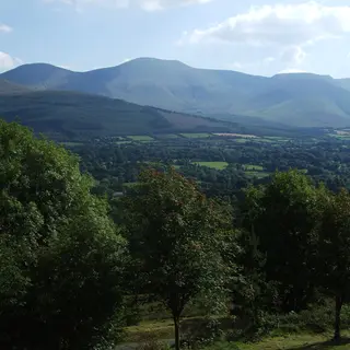 The long ridge of the Galtee Mountains above the trees and farmland
