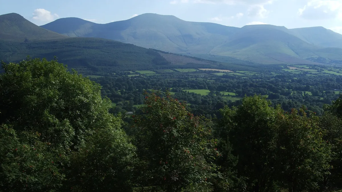 The long ridge of the Galtee Mountains above the trees and farmland