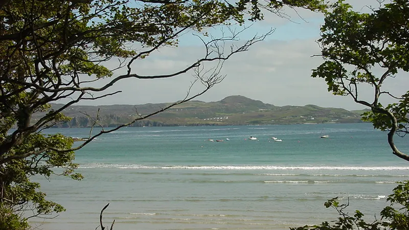 Marble Hill Beach and the green water of Sheephaven Bay framed by trees