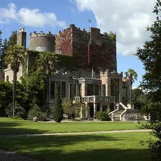 Huntington Castle behind its lawn with palms and mature trees around it