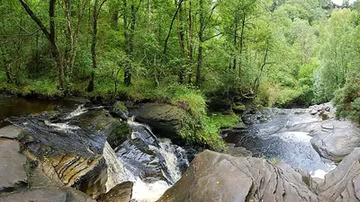 A stream running over dark rock through the trees at Glenbarrow