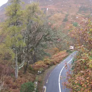 Autumn trees along the Great Western Greenway on the Corraun peninsula