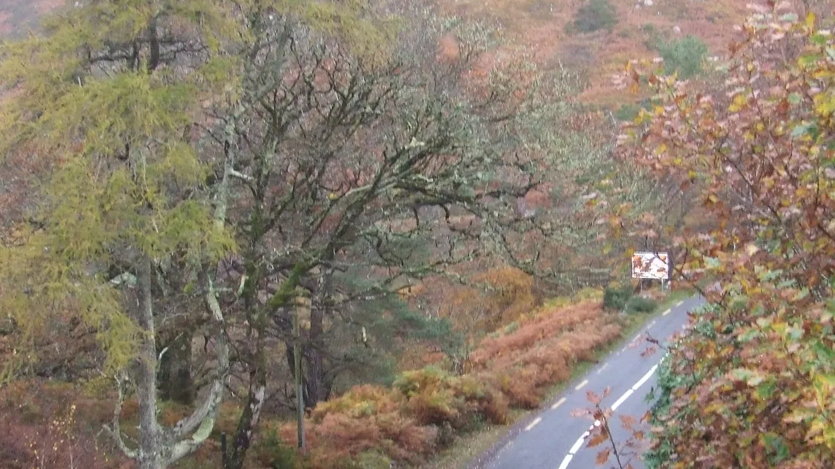 Autumn trees along the Great Western Greenway on the Corraun peninsula