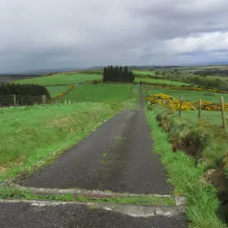 A narrow lane running up between gorse and fields towards Corn Hill