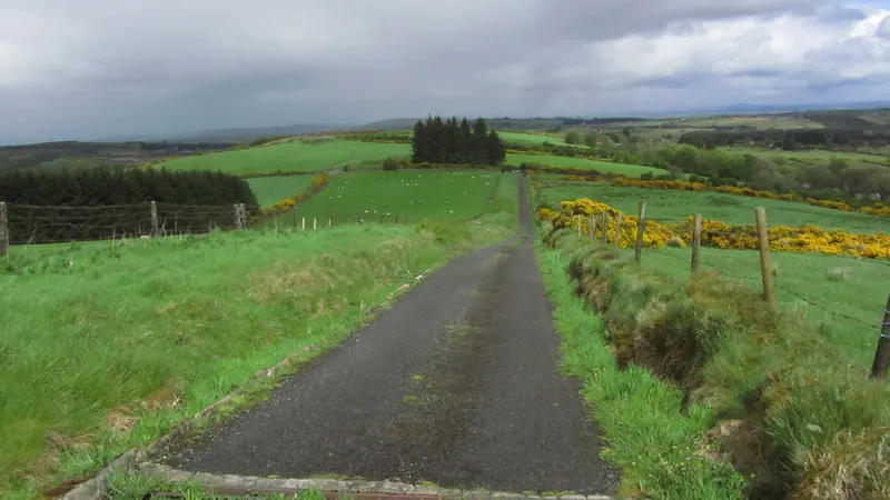 A narrow lane running up between gorse and fields towards Corn Hill