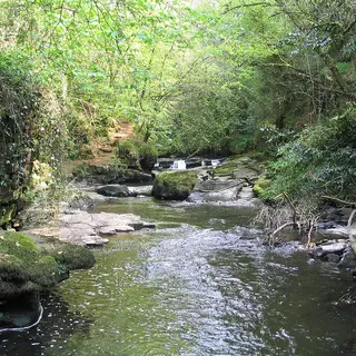 The Clare Glens