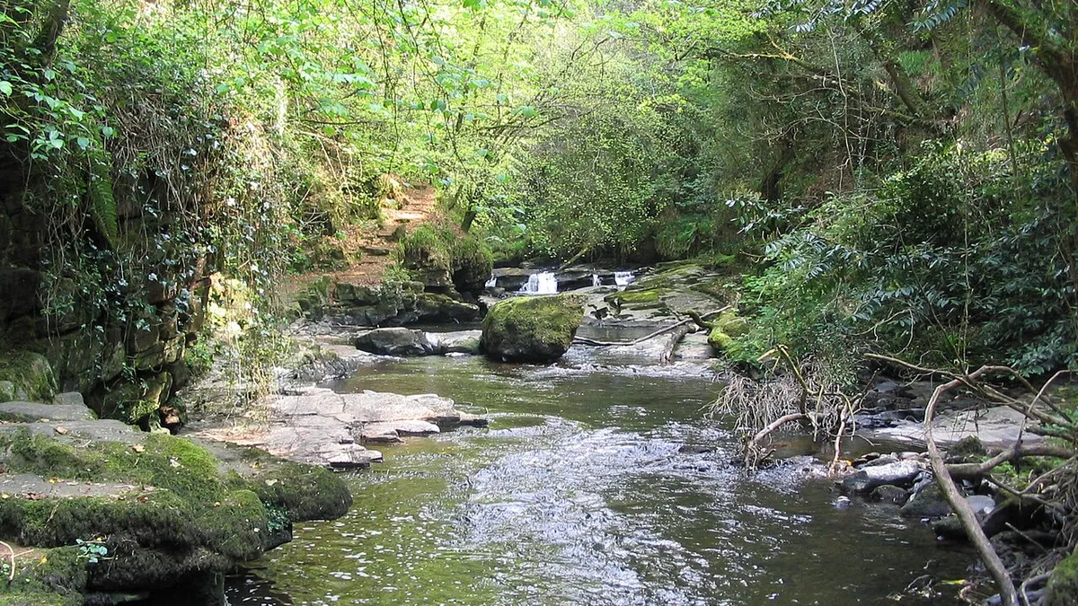 The Clare Glens