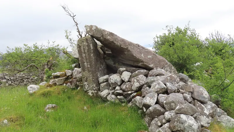 The drystone wall of Moneygashel Cashel standing in rough pasture