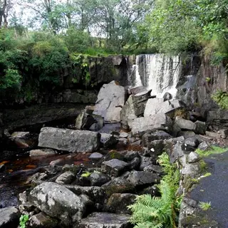Water falling over a rock ledge into the pool at Tullydermot Falls
