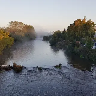 The River Nore running through trees in the early morning on the Nore Valley Walk