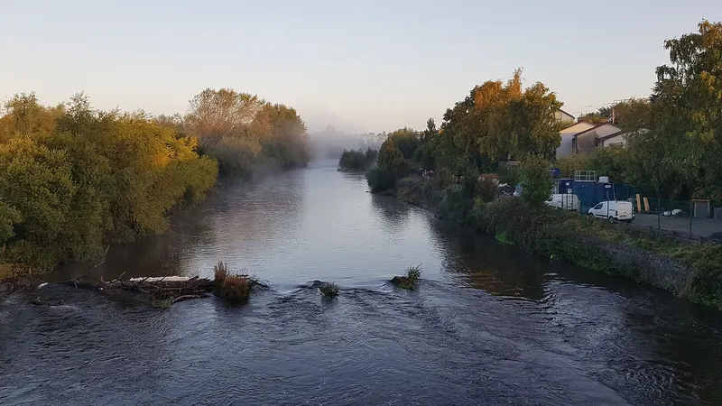 The River Nore running through trees in the early morning on the Nore Valley Walk
