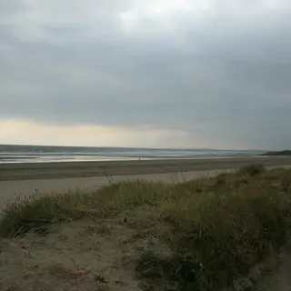 Wet sand, dunes and a flat grey sea at Clogherhead