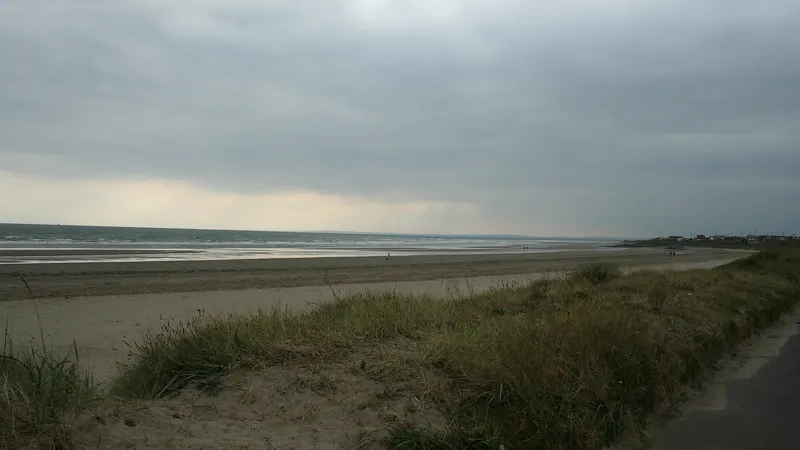 Wet sand, dunes and a flat grey sea at Clogherhead