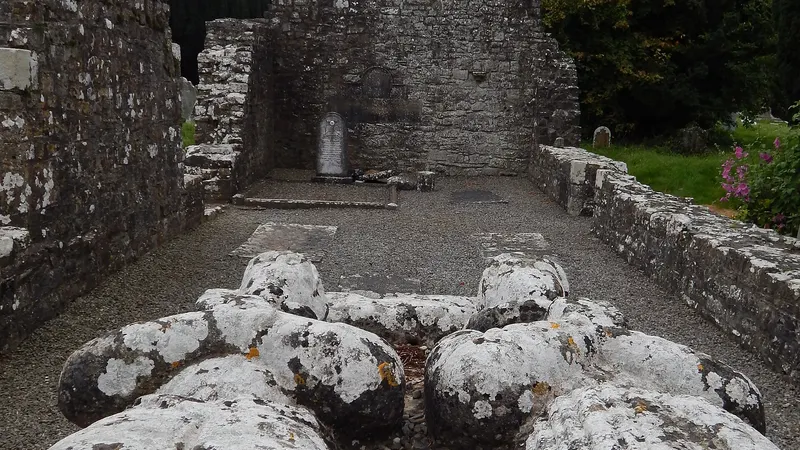 Inside the ruined church at Newtown Trim looking down the nave