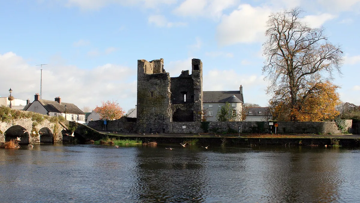 River Barrow through Leighlinbridge, County Carlow, Ireland