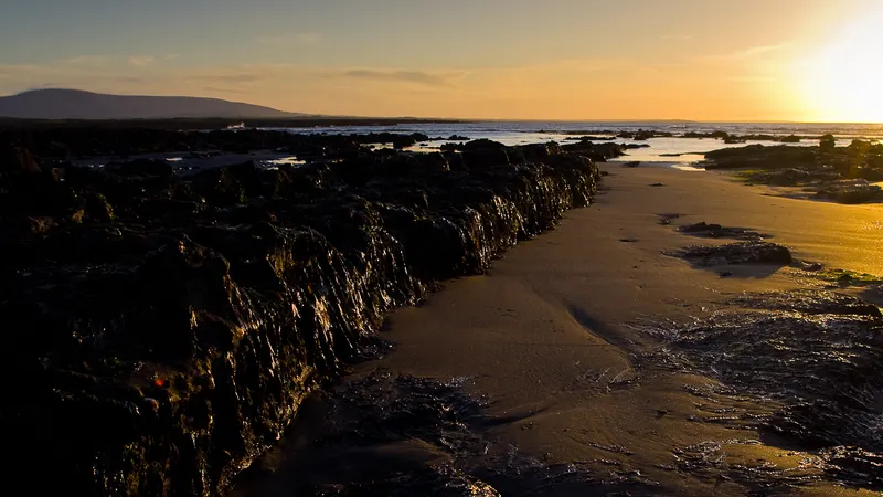 Sunset over the strand and causeway at Coney Island, County Sligo