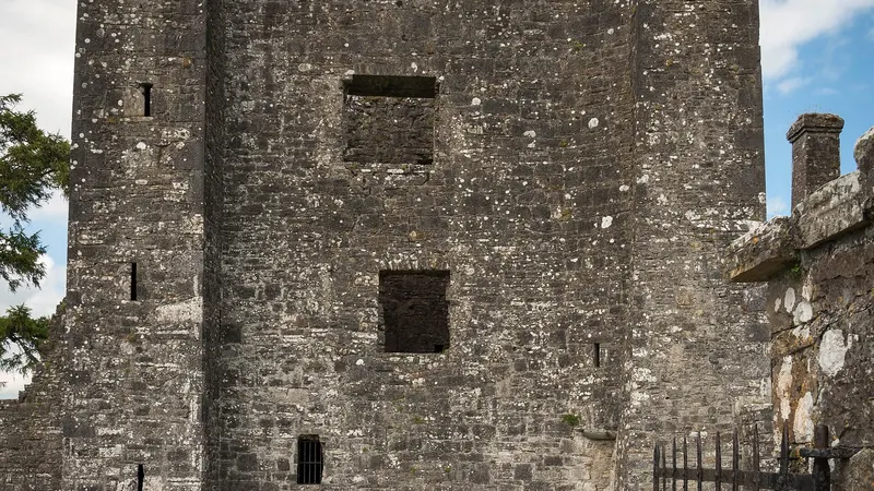 Bective - Bective Abbey