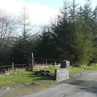A gate and a waymarker where the South Leinster Way meets the road