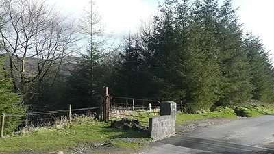 A gate and a waymarker where the South Leinster Way meets the road