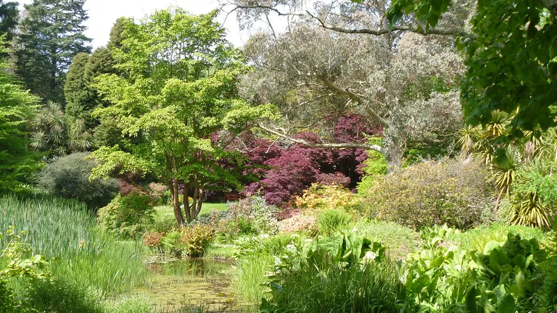 Flowering shrubs and trees along the river walk at Mount Usher Gardens