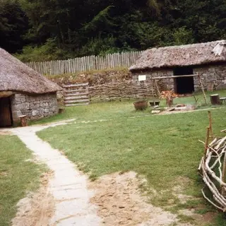 The thatched roundhouse and timber palisade of the reconstructed farm at Craggaunowen