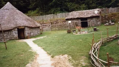 The thatched roundhouse and timber palisade of the reconstructed farm at Craggaunowen