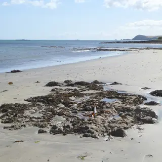 Clean sand and seaweed covered rock at the edge of Clonea Beach