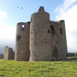 The two round gatehouse towers of Ballyloughan Castle standing in a field of grass