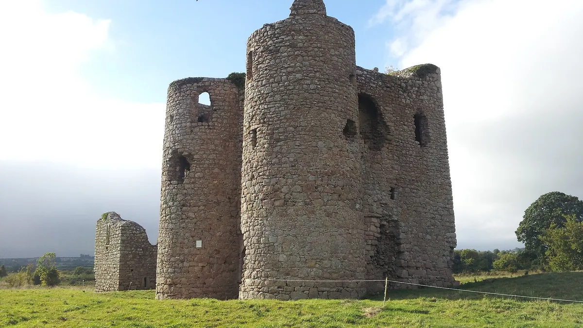 The two round gatehouse towers of Ballyloughan Castle standing in a field of grass