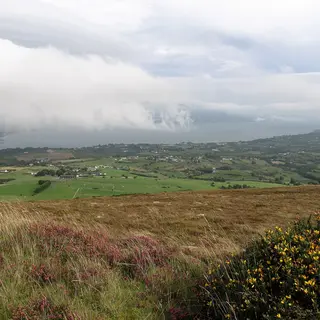 The coastal plain of the Cooley peninsula and Carlingford Lough seen from the mountain heather