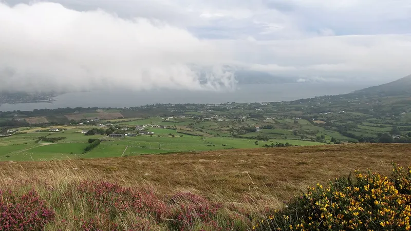 The coastal plain of the Cooley peninsula and Carlingford Lough seen from the mountain heather