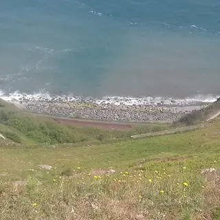 The cliff path above the shore on the walk from Bray to Greystones